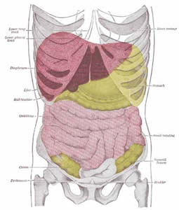 sindrome-2 Fragil