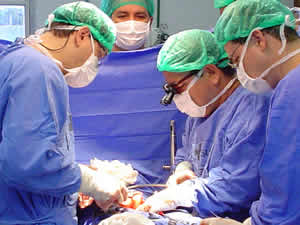 transplante-2 Prioridades em Transplantes