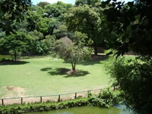 Zoológico SP Zoológico SP