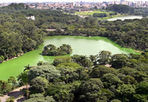 Zoológico SP Jardim Zoológico de São Paulo