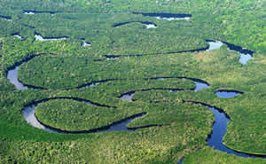 Floresta Amazônica