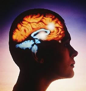 epilepsia-2 Tipos