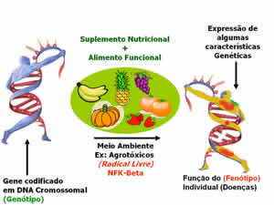 Medicina Ortomolecular