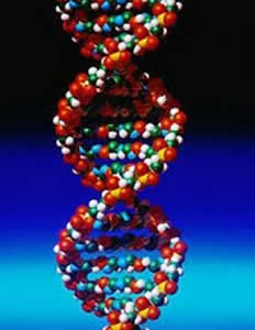 sindrome-1 Dieker