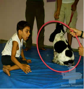terapia-2 Cachorro