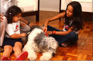 terapia-3 Terapia Assistida Com Animais TAA