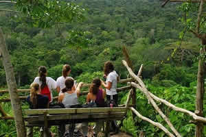 area-florestal-1 Ambiental