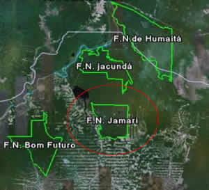 area-florestal-2