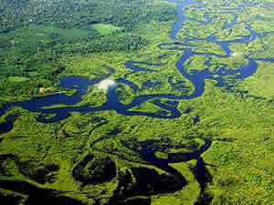 area-florestal-3 Preservação