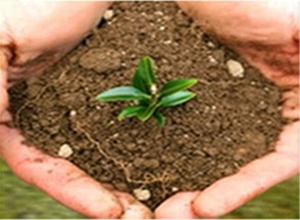 Desenvolvimento e Biodiversidade Desenvolvimento e Biodiversidade