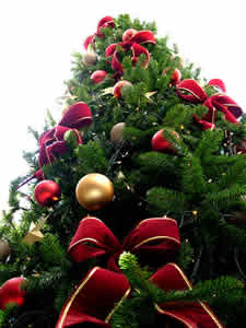natal-2 Natal Todo Dia