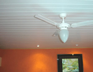 pvc-3 Forro de PVC