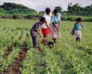 reforma-agraria-1 Brasil