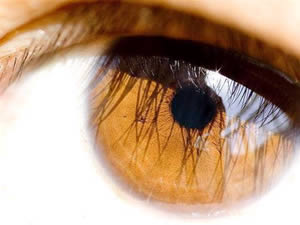 sol-nos-olhos-1 Foto