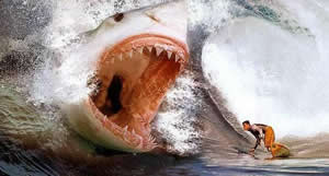 Surfista Encrencado Surfista Encrencado