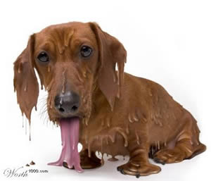 calor-2
