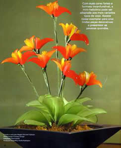 flores-de-meia-2