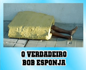 O Verdadeiro Bob Esponja O Verdadeiro Bob Esponja