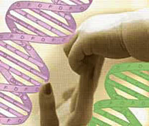 sindrome-2