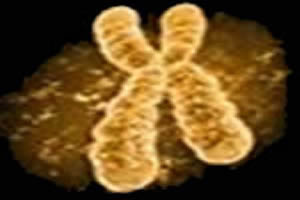 sindrome-3