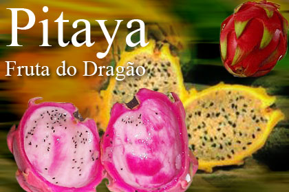 Pitaya