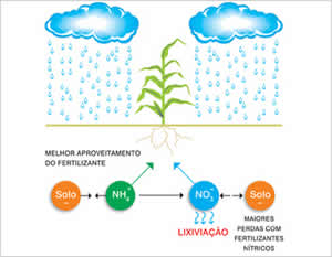chuva-2