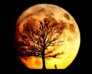 fases-da-lua-1
