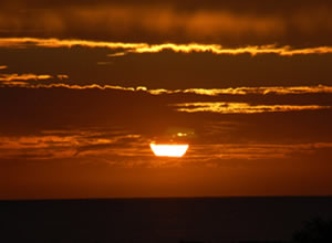 Solteirice