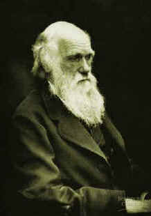 Darwinismo