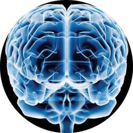 Sinestesia