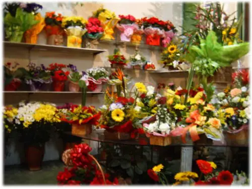 Floricultura