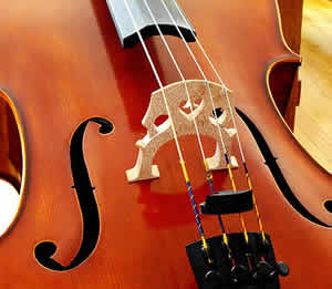 musica-erudita-3
