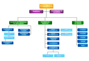 estrutura-organizacional-2