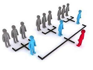 estrutura-organizacional-3