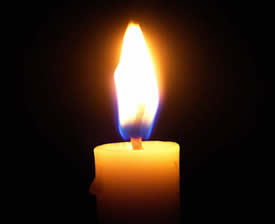 Combustivel
