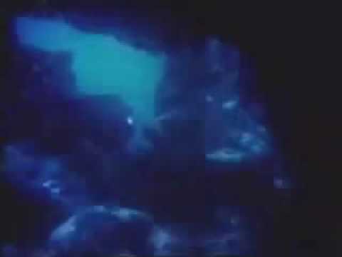 Submersa