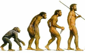 Evolução