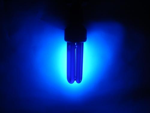 Luz