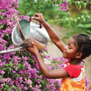 Importância do Contato da Natureza para a Criança Importância do Contato da Natureza para a Criança