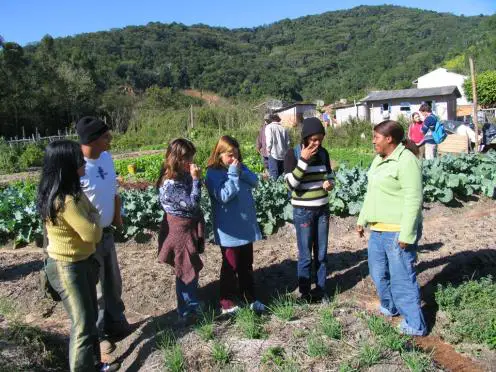 Agricultura Agroecologia