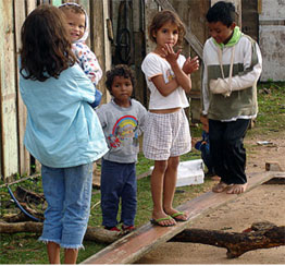 Cinco Níveis de Educação de Qualidade
