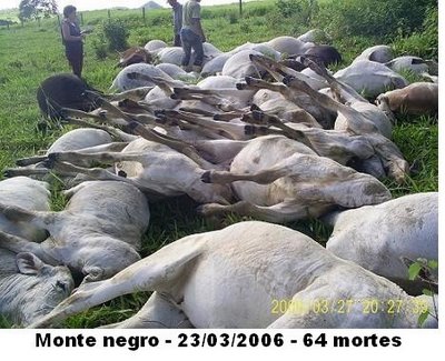 Monte Negro Monte Negro