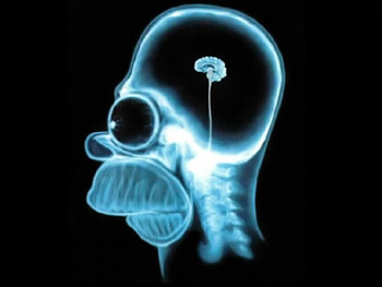 Os Efeitos da Hipnose e Placebo Os Efeitos da Hipnose e Placebo