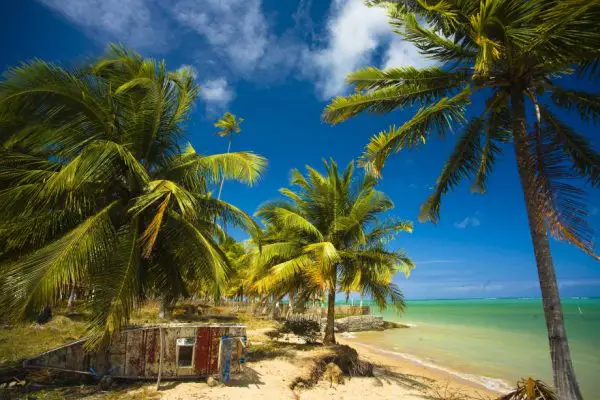 Praia do Patacho (Alagoas)