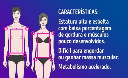 Características de Um Corpo Mesomorfo