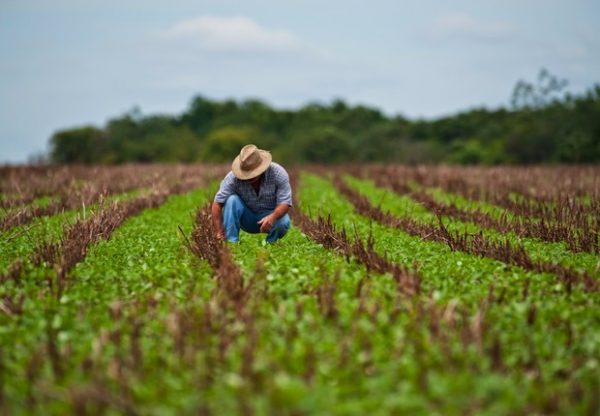 Exportação Agrícola no Brasil 