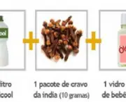 repelentes-caseiros-contra-pernilongos-1