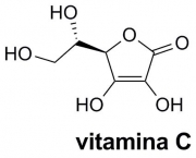 a-vitamina-c-6