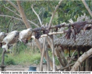 desmatamento-e-danos-as-comunidades-da-amazonia-2