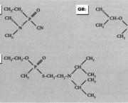 os-efeitos-da-exposicao-ao-gas-vx-1